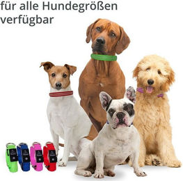 Produktbild von Petsation Leuchthalsband für Hunde LED mit Metallverschluss Rot S - 1 Stk.