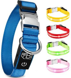 Produktbild von Petsation Leuchthalsband Hundehalsband blau M