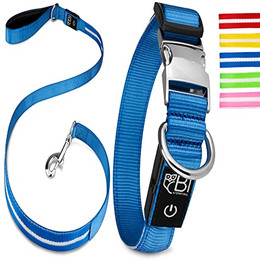 Produktbild von Petsation Leuchthalsband und Leine blau XS