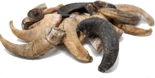 Produktbild von Petsoo Heidschnuckenhorn Kauartikel für Hunde