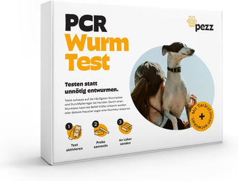 Produktbild von Pezz PCR-Wurmtest für Hunde - Stück