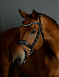 Produktbild von Pferde-Braun gepolstertes Dressurreiten Zaumzeug Collegiate Comfitec Opulux