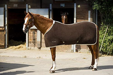 Produktbild von Pferdedecke Equithème Sweat 0g