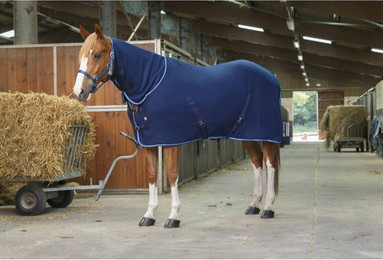 Produktbild von Pferdedecke Riding World Combo