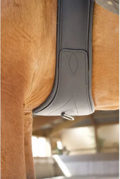 Produktbild von Pferdegurt aus Leder T de T First