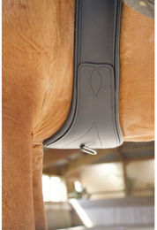 Produktbild von Pferdegurt aus Leder T de T First