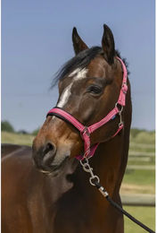 Produktbild von Pferdehalfter 4 Linien Norton