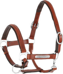 Produktbild von Pferdehalfter aus doppelt genähtem Leder mit Messingbeschlägen Umbria Equitazione