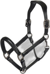 Produktbild von Pferdehalfter aus Lackleder LeMieux