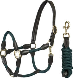 Produktbild von Pferdehalfter aus Leder mit Seil Horka