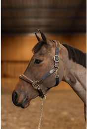 Produktbild von Pferdehalfter aus Leder und Nylon HFI Mixed