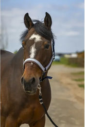 Produktbild von Pferdehalfter aus Nylon Check Equithème