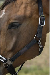 Produktbild von Pferdehalfter aus Nylon Chevron Equithème