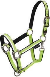 Produktbild von Pferdehalfter aus Nylon Equestro White Trim