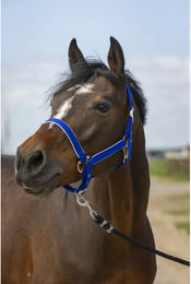 Produktbild von Pferdehalfter aus Nylon Equithème light