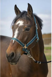 Produktbild von Pferdehalfter aus Nylon Equithème light