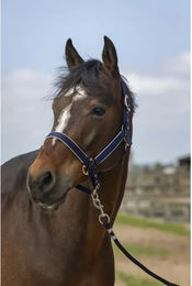 Produktbild von Pferdehalfter aus Nylon Equithème light