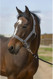 Produktbild von Pferdehalfter aus Nylon Equithème light