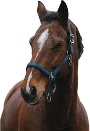 Produktbild von Pferdehalfter aus Nylon Equithème Spring