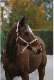 Produktbild von Pferdehalfter aus Nylon Equithème Spring