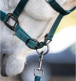 Produktbild von Pferdehalfter aus Nylon Horseware