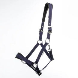 Produktbild von Pferdehalfter aus Nylon Kavalkade Classic Simple