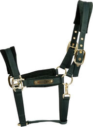 Produktbild von Pferdehalfter aus Nylon Kentucky Horsewear
