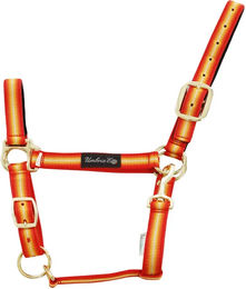 Produktbild von Pferdehalfter aus Nylon mit Lederverstärkung Umbria Equitazione