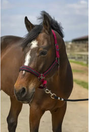 Produktbild von Pferdehalfter aus Nylon Strass Equithème