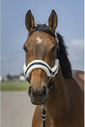 Produktbild von Pferdehalfter aus Schafsnylon Equithème