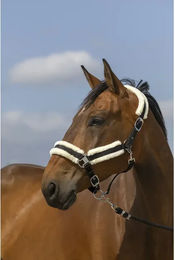 Produktbild von Pferdehalfter aus Schafsnylon Equithème