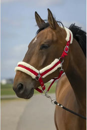 Produktbild von Pferdehalfter aus Schafsnylon Equithème