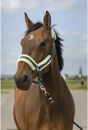 Produktbild von Pferdehalfter aus Schafsnylon Equithème