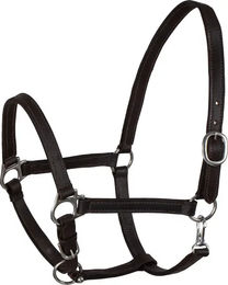 Produktbild von Pferdehalfter aus schwedischem Leder Umbria Equitazione