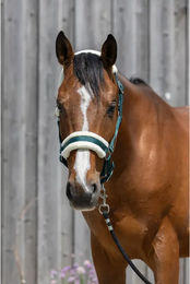 Produktbild von Pferdehalfter aus synthetischem Lammfell Riding World