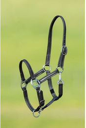 Produktbild von Pferdehalfter aus weichem Leder HFI