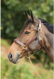 Produktbild von Pferdehalfter HFI X-Full