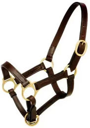 Produktbild von Pferdehalfter Leder Hispano Hipica