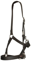 Produktbild von Pferdehalfter Leder Karlslund BioThane