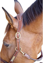 Produktbild von Pferdehalfter mit Platte T de T