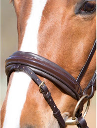 Produktbild von Pferdehalfter mit quadratischen Messingbeschlägen Kieffer Flash Comfort Paris Ii