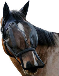 Produktbild von Pferdehalfter mit UV-Maske Equithème