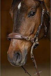 Produktbild von Pferdehalfter und Kette HFI Hackamore