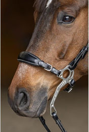 Produktbild von Pferdehalfter und Kette HFI Hackamore