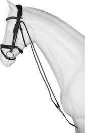 Produktbild von Pferdekamm Horka