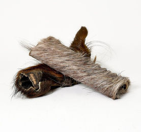 Produktbild von Pferdekopfhaut mit Fell