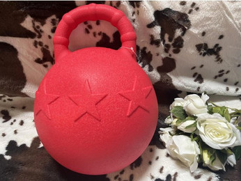 Produktbild von Pferdespielball mit Griff für Pferde Hippotonic