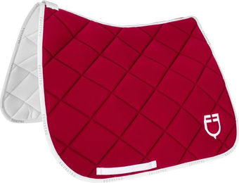 Produktbild von Pferdetrainingsteppich aus technischem Gewebe mit Logo Equestro