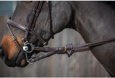 Produktbild von PferdezÃ¼gel mit Gummiringen mit 7 Kanten Dy'on 1/2