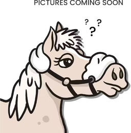 Produktbild von Pferdezaum mit 2 abnehmbaren Befestigungen und Ketten Dy'on